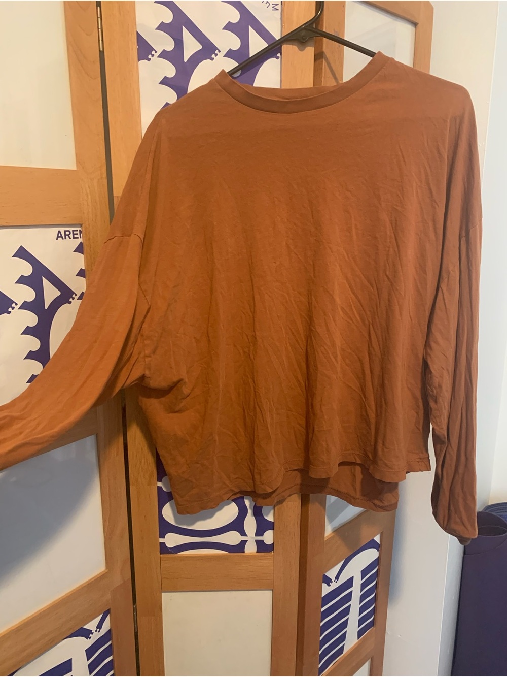Rust Brown Long Sleeve Women's Top